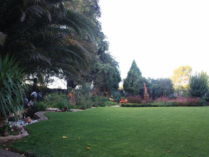 De Stallen Guesthouse, Palm Tree, Plant, Nature, Wood, Garden