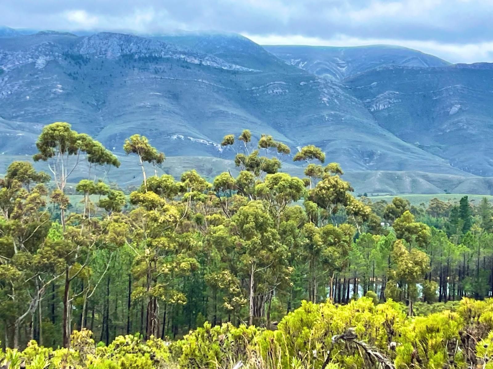 De Stoep, Mountain, Nature, Highland