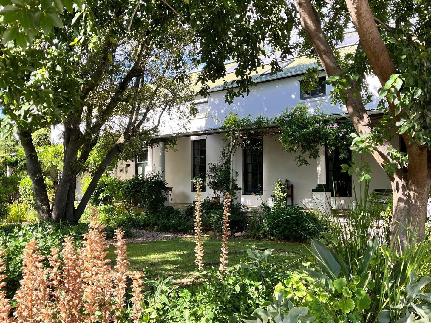 De Stoep, Building, Architecture, House, Plant, Nature, Garden