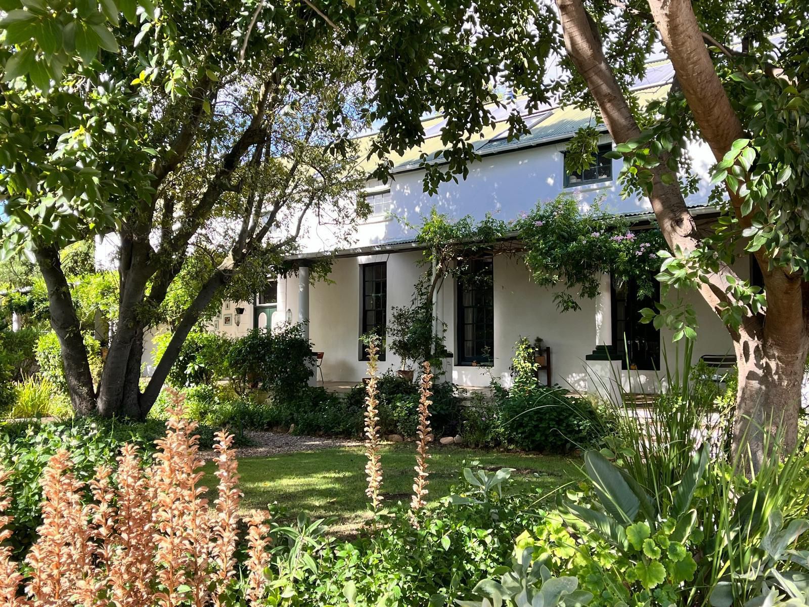 De Stoep, Building, Architecture, House, Plant, Nature, Garden