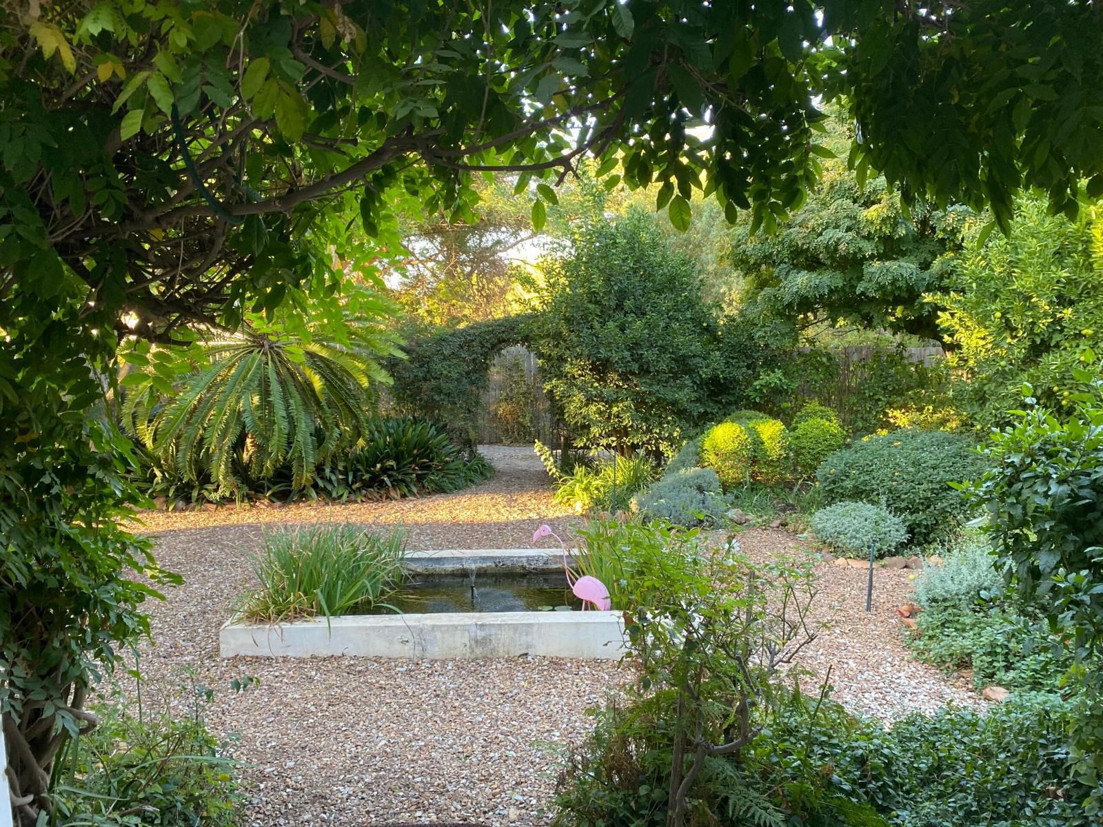 De Stoep, Plant, Nature, Garden