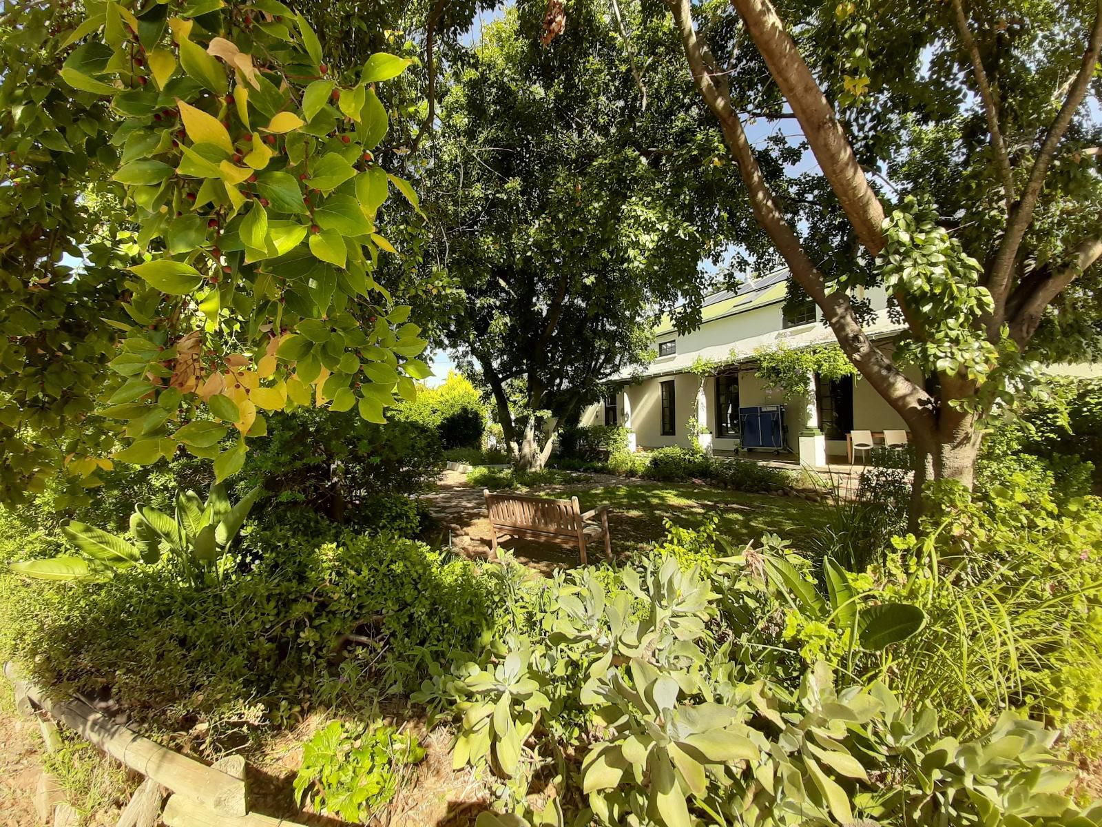 De Stoep, House, Building, Architecture, Plant, Nature, Tree, Wood, Garden