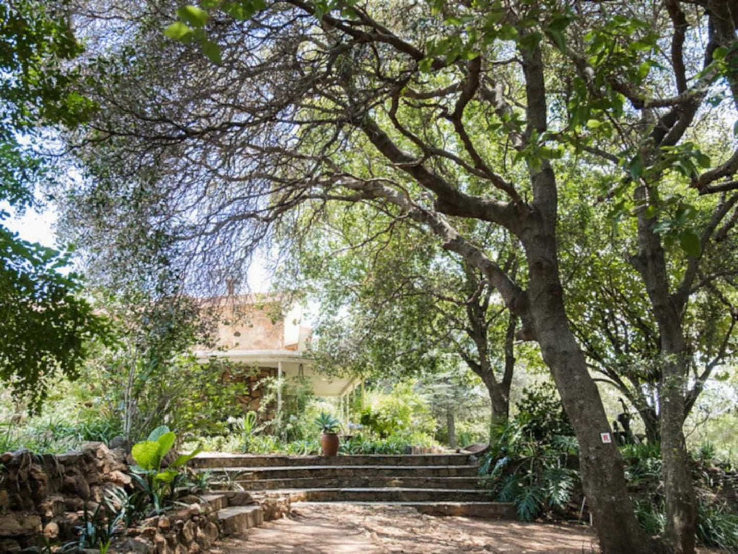 De Wildt Cheetah Lodge, Plant, Nature, Framing, Garden