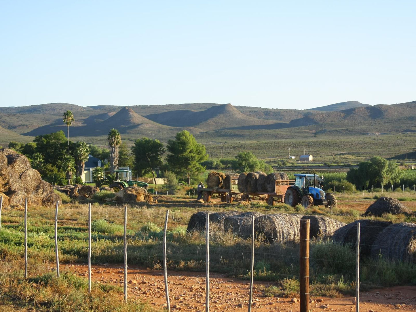De Denne Guesthouse Oudtshoorn Western Cape South Africa Field, Nature, Agriculture, Lowland