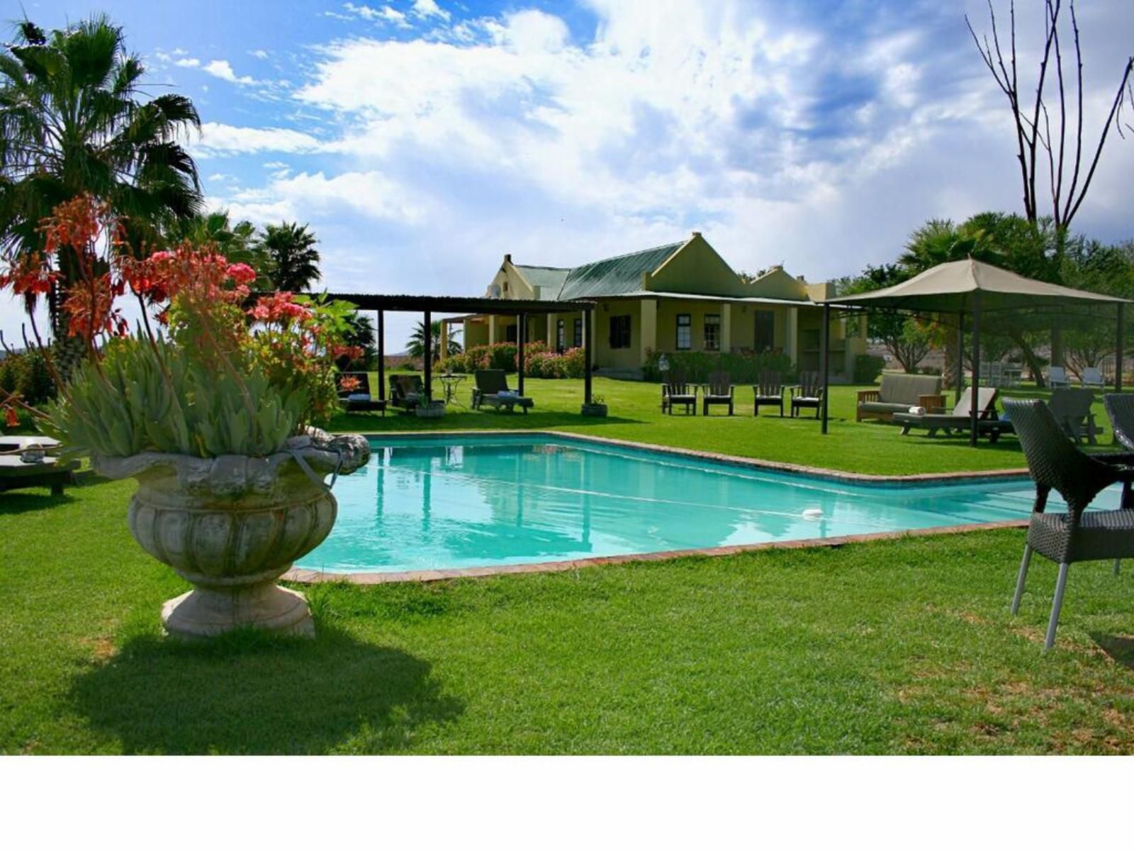 De Denne Guesthouse Oudtshoorn Western Cape South Africa Complementary Colors, House, Building, Architecture, Swimming Pool
