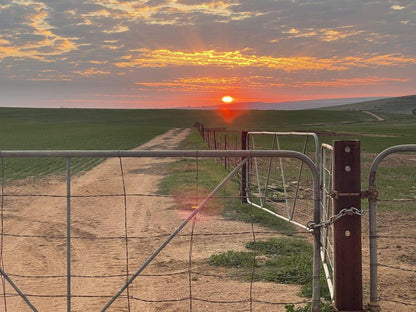 De Gunst Guest Farm Malmesbury Western Cape South Africa Leading Lines, Lowland, Nature, Sunset, Sky