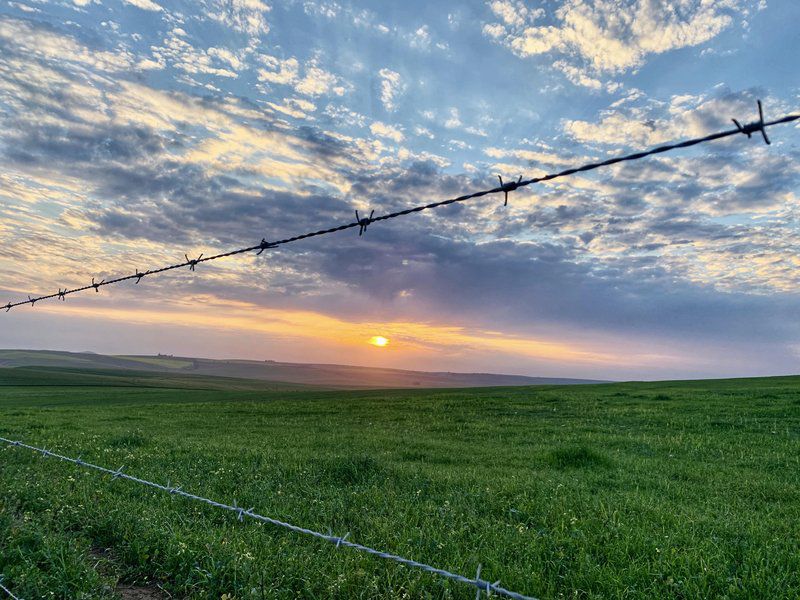 De Gunst Guest Farm Malmesbury Western Cape South Africa Field, Nature, Agriculture, Power Line, Technology, Sky, Lowland, Sunset