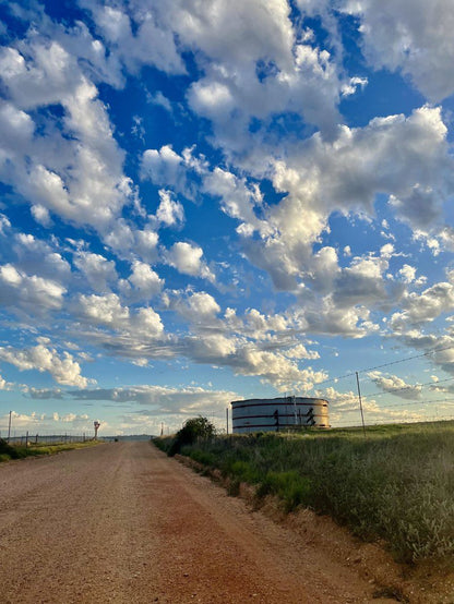 De Gunst Guest Farm Malmesbury Western Cape South Africa Sky, Nature, Clouds, Leading Lines, Lowland, Street