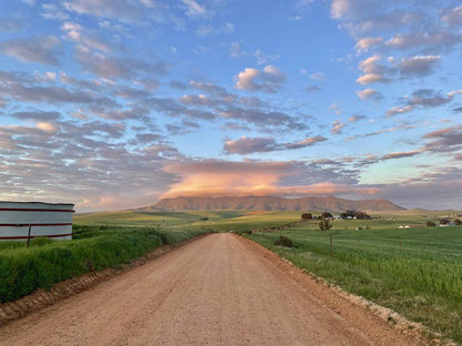 De Gunst Guest Farm Malmesbury Western Cape South Africa Complementary Colors, Lowland, Nature, Street