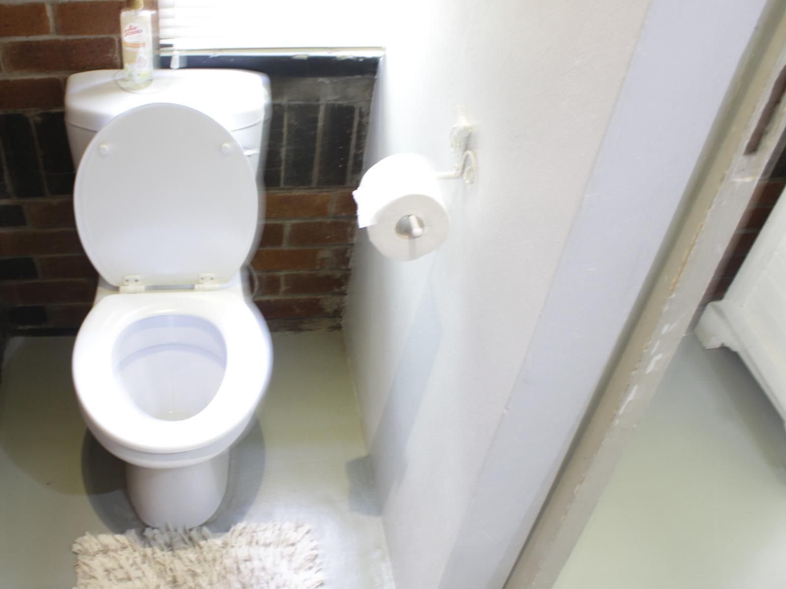 De Hoek Gastehuis Frankfort Free State South Africa Unsaturated, Bathroom
