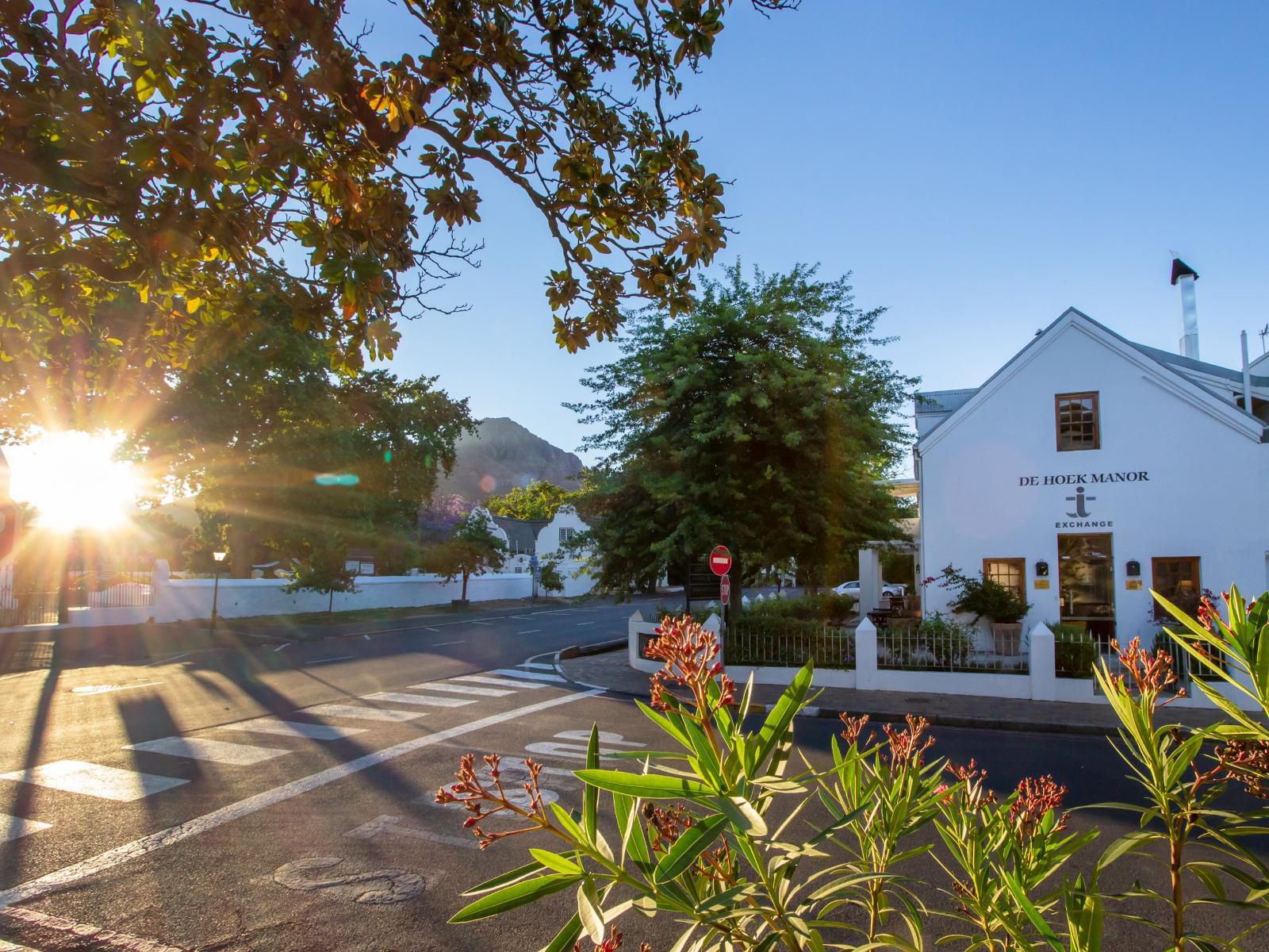 De Hoek Manor Stellenbosch Western Cape South Africa Complementary Colors, House, Building, Architecture