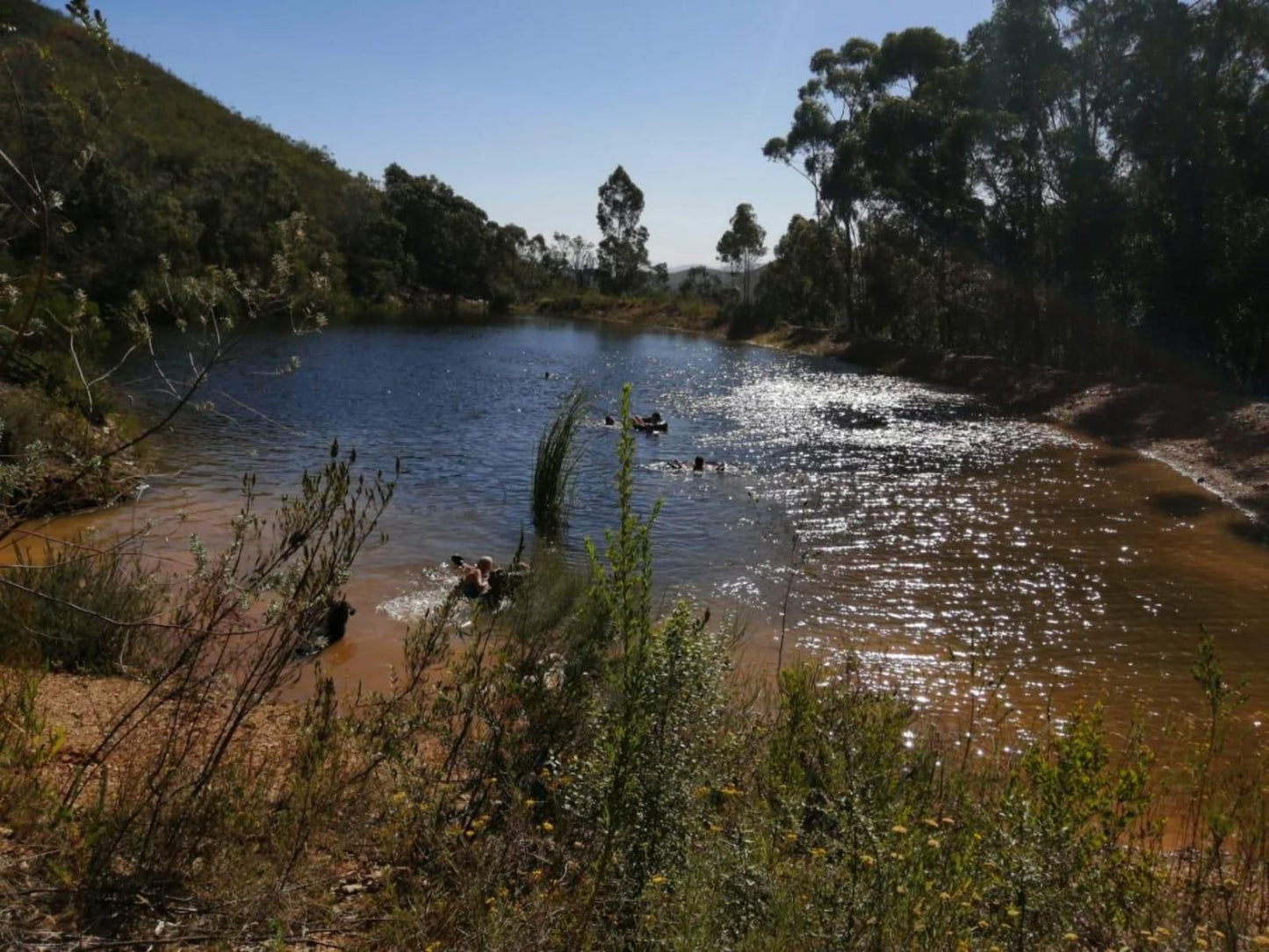 De Hoop Cottages Robertson Western Cape South Africa River, Nature, Waters