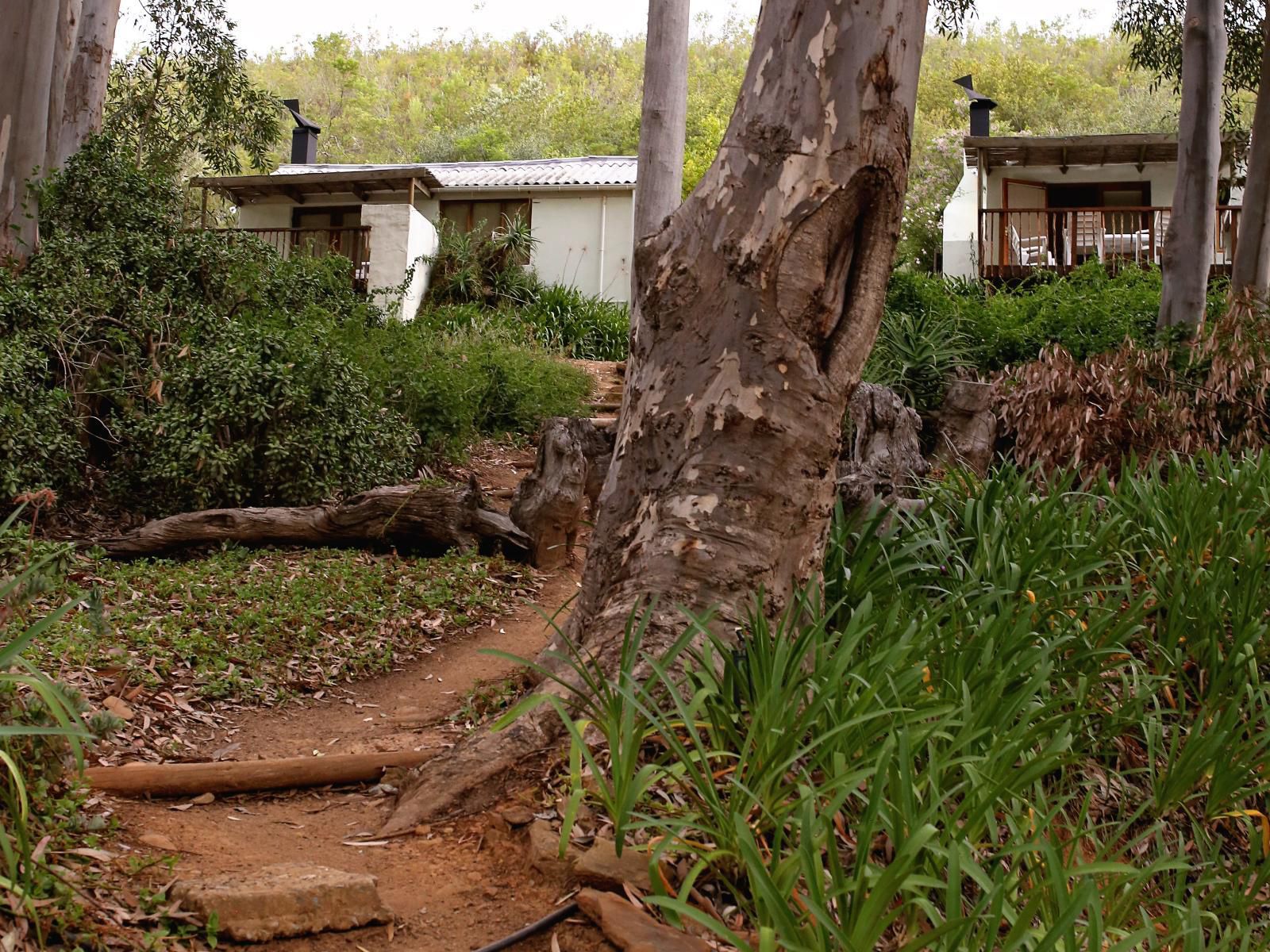 De Hoop Cottages Robertson Western Cape South Africa Plant, Nature, Ruin, Architecture