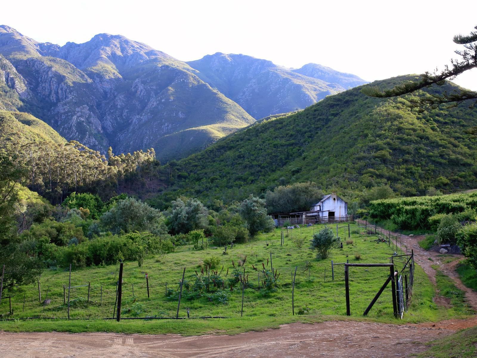 De Hoop Cottages Robertson Western Cape South Africa Mountain, Nature, Highland
