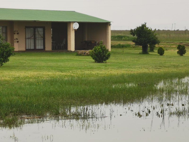 Dejandri Ventersdorp North West Province South Africa Lowland, Nature