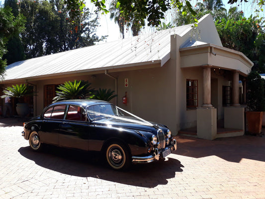 Deja Vu Pretoria Riviera Pretoria Tshwane Gauteng South Africa Car, Vehicle, House, Building, Architecture, Palm Tree, Plant, Nature, Wood
