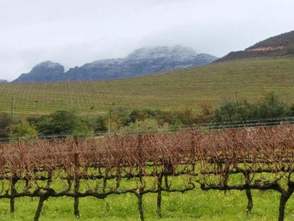 Sonklip Guesthouse Rozendal Stellenbosch Western Cape South Africa Field, Nature, Agriculture, Mountain, Highland