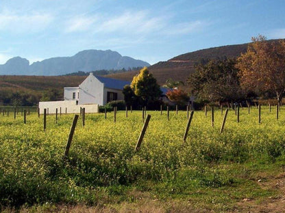 Sonklip Guesthouse Rozendal Stellenbosch Western Cape South Africa Complementary Colors, Field, Nature, Agriculture