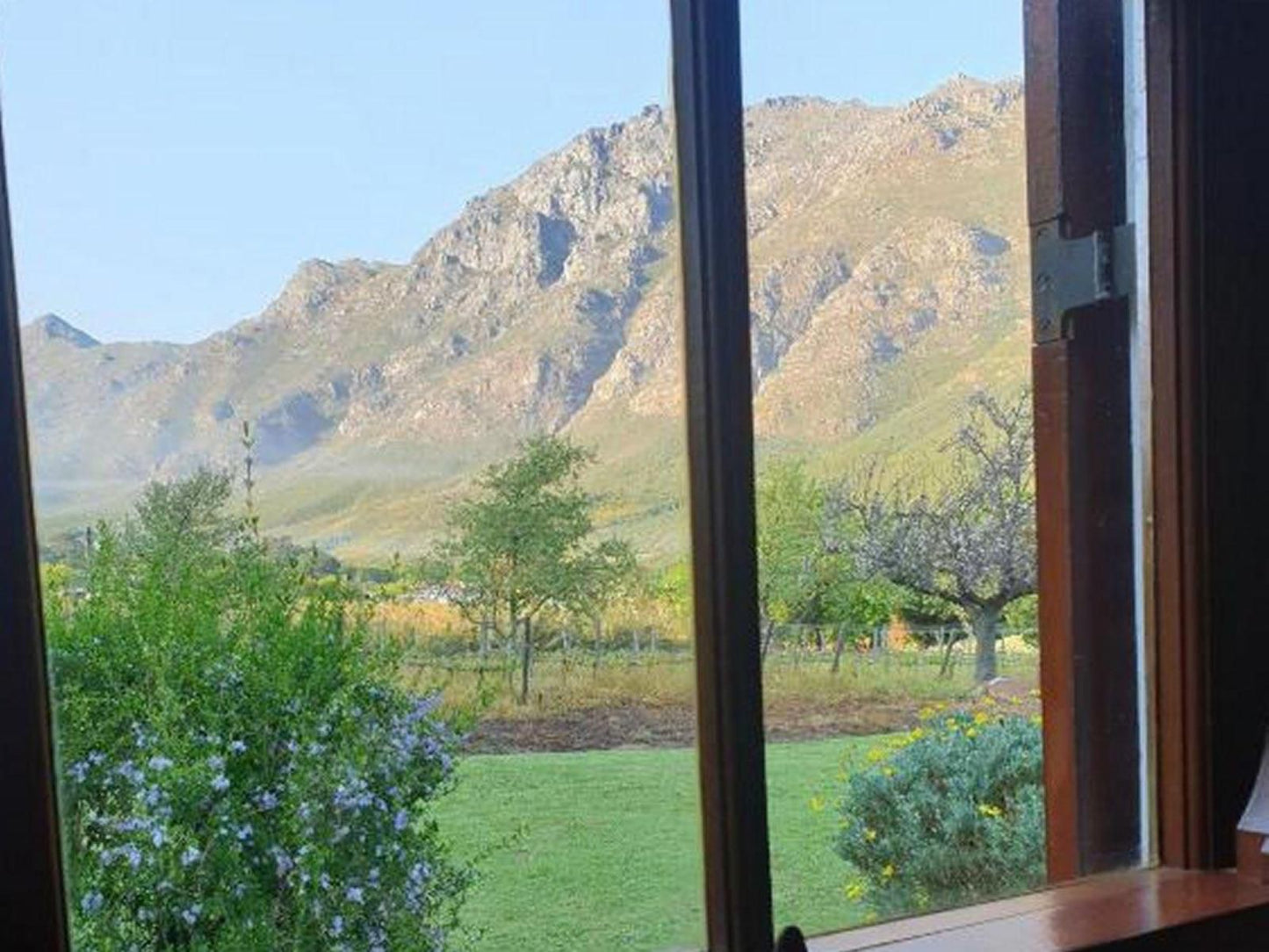 Sonklip Guesthouse Rozendal Stellenbosch Western Cape South Africa Mountain, Nature, Framing, Garden, Plant, Highland