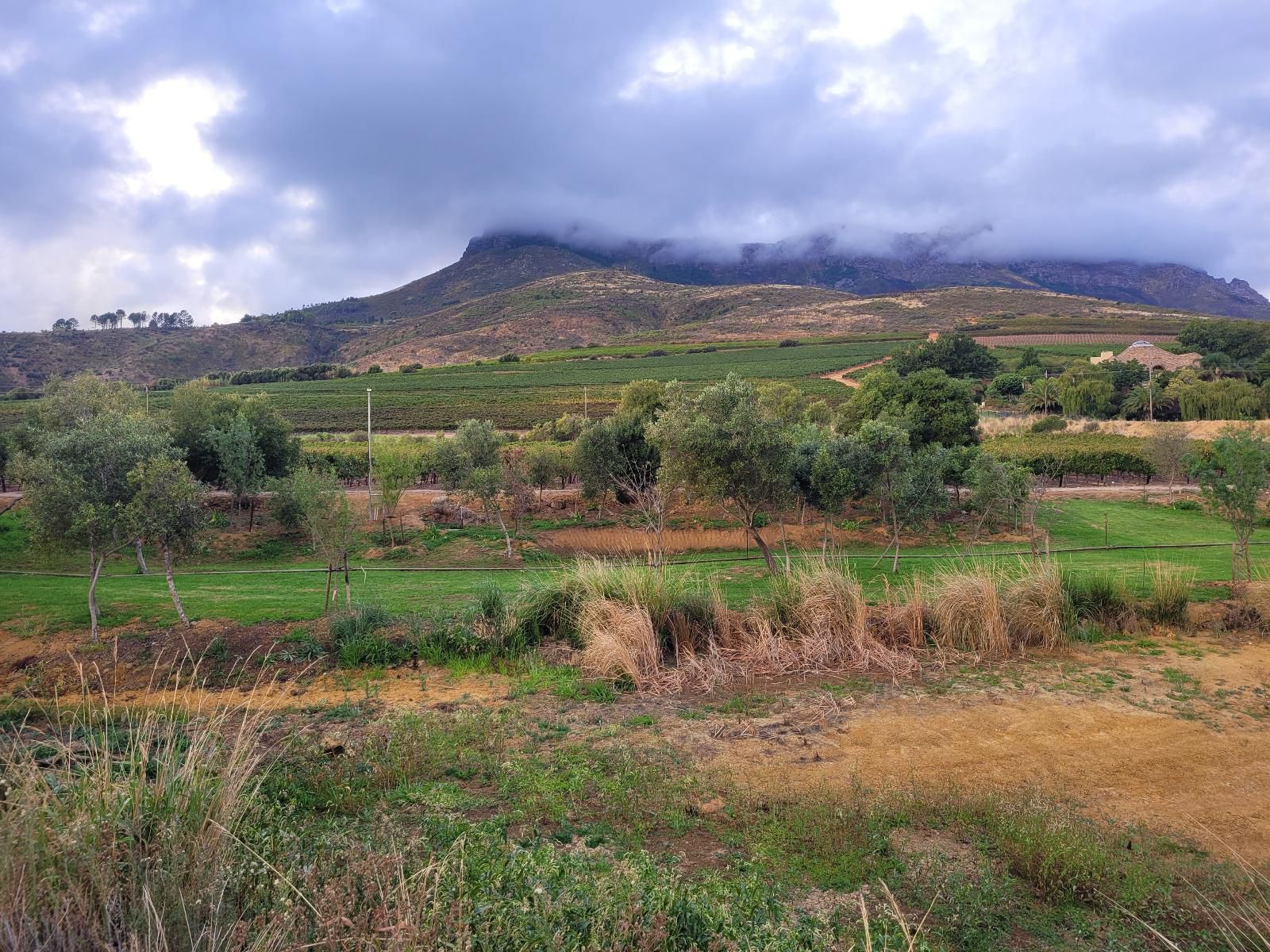 Sonklip Guesthouse Rozendal Stellenbosch Western Cape South Africa Complementary Colors, Field, Nature, Agriculture, Highland