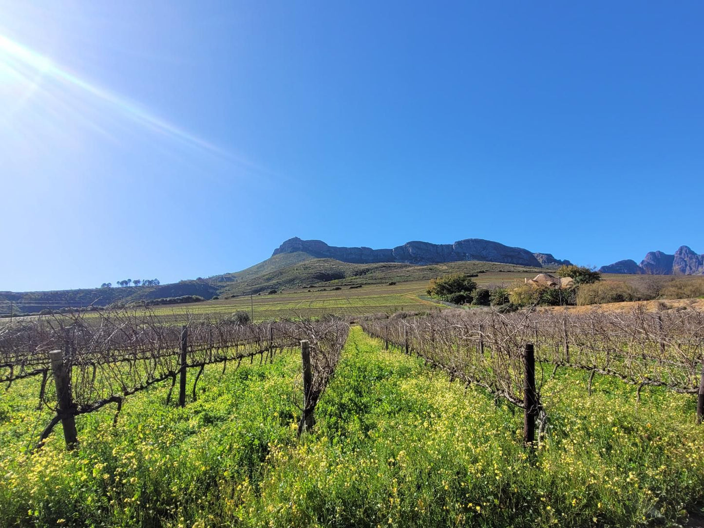 Sonklip Guesthouse Rozendal Stellenbosch Western Cape South Africa Complementary Colors, Nature