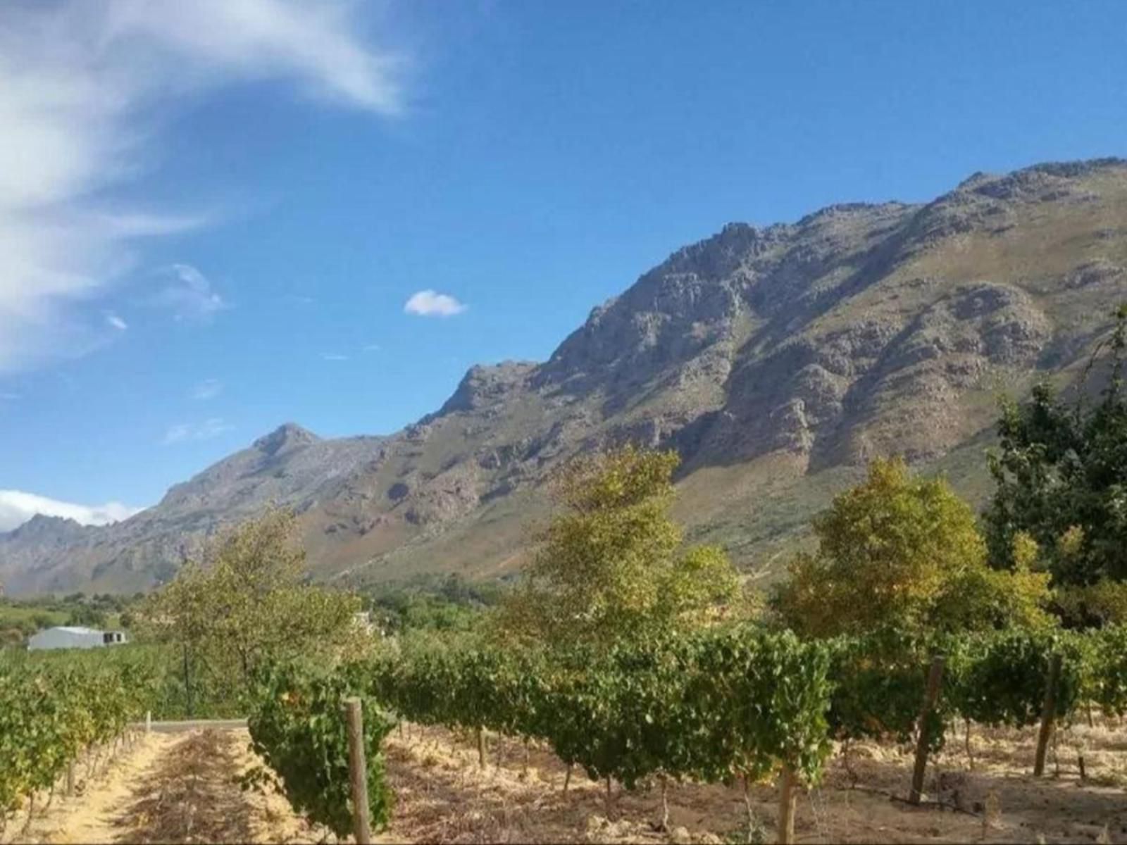 Sonklip Guesthouse Rozendal Stellenbosch Western Cape South Africa Complementary Colors, Mountain, Nature, Highland