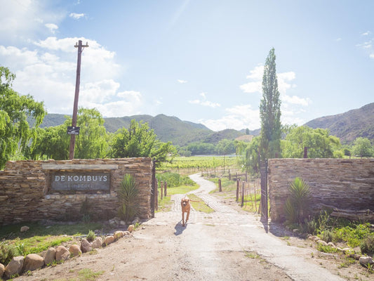 De Kombuys Estate Oudtshoorn Western Cape South Africa Complementary Colors, Mountain, Nature, Highland