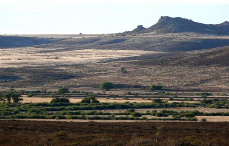 De Lande Guesthouse Nieuwoudtville Northern Cape South Africa Desert, Nature, Sand, Lowland