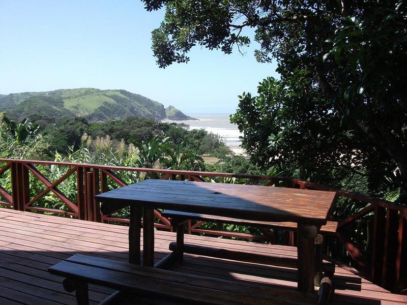 Delicious Monster Port St Johns Eastern Cape South Africa Beach, Nature, Sand