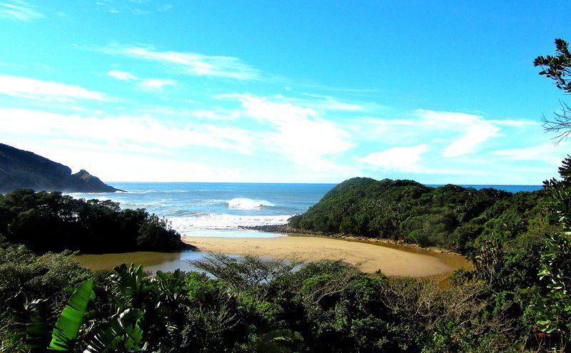 Delicious Monster Port St Johns Eastern Cape South Africa Colorful, Beach, Nature, Sand