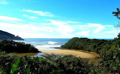 Delicious Monster Port St Johns Eastern Cape South Africa Colorful, Beach, Nature, Sand