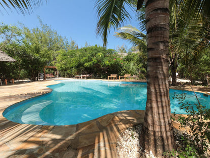 Demani Lodge, Palm Tree, Plant, Nature, Wood, Swimming Pool