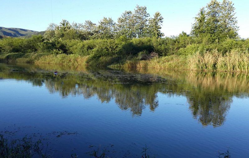 Demist River Camp Patensie Eastern Cape South Africa Complementary Colors, River, Nature, Waters, Tree, Plant, Wood