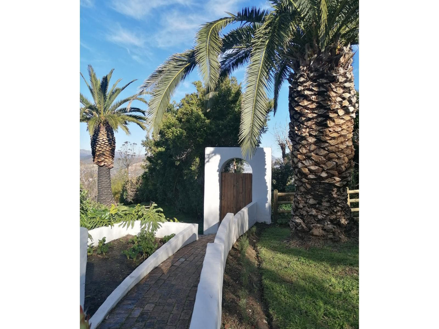 De Molen Guest House Spanish Farm Ext 1 Somerset West Western Cape South Africa Palm Tree, Plant, Nature, Wood