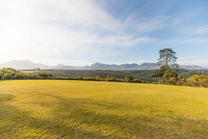 Denneberghof Wilderness Western Cape South Africa Complementary Colors, Field, Nature, Agriculture