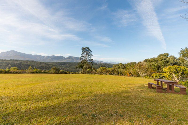 Denneberghof Wilderness Western Cape South Africa Complementary Colors, Field, Nature, Agriculture, Highland