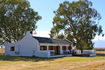 Denneboom Vineyards And Wildlife Paarl Western Cape South Africa Complementary Colors, Barn, Building, Architecture, Agriculture, Wood