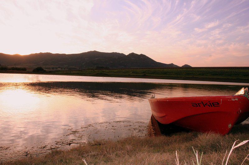 Denneboom Vineyards And Wildlife Paarl Western Cape South Africa Nature, Vehicle