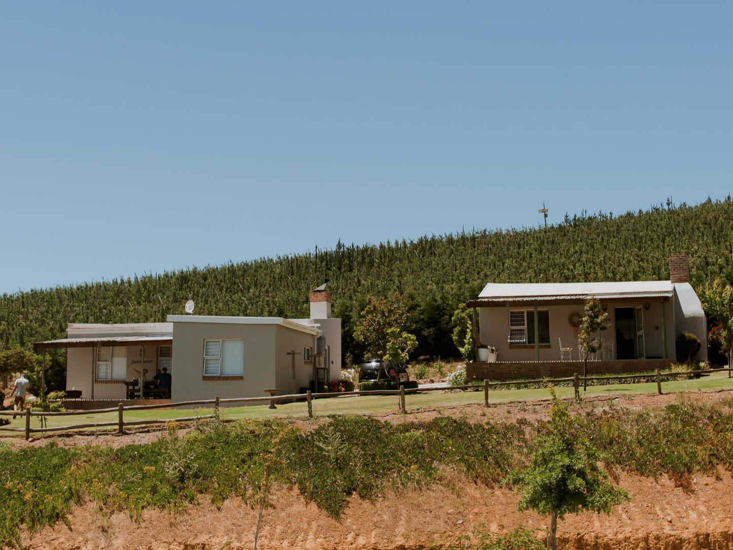 Dennehof Farm Guesthouse Villiersdorp Western Cape South Africa Complementary Colors