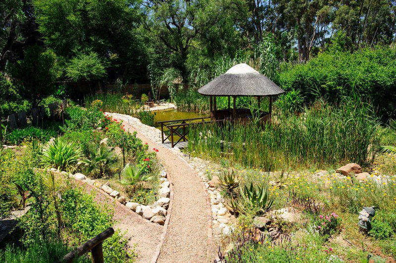 De Oude Opstal Robertson Western Cape South Africa Plant, Nature, Garden