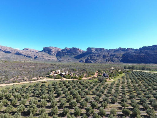 De Pakhuys Clanwilliam Western Cape South Africa Cactus, Plant, Nature