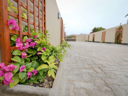 Desert Jackal Guesthouse, House, Building, Architecture, Plant, Nature, Garden