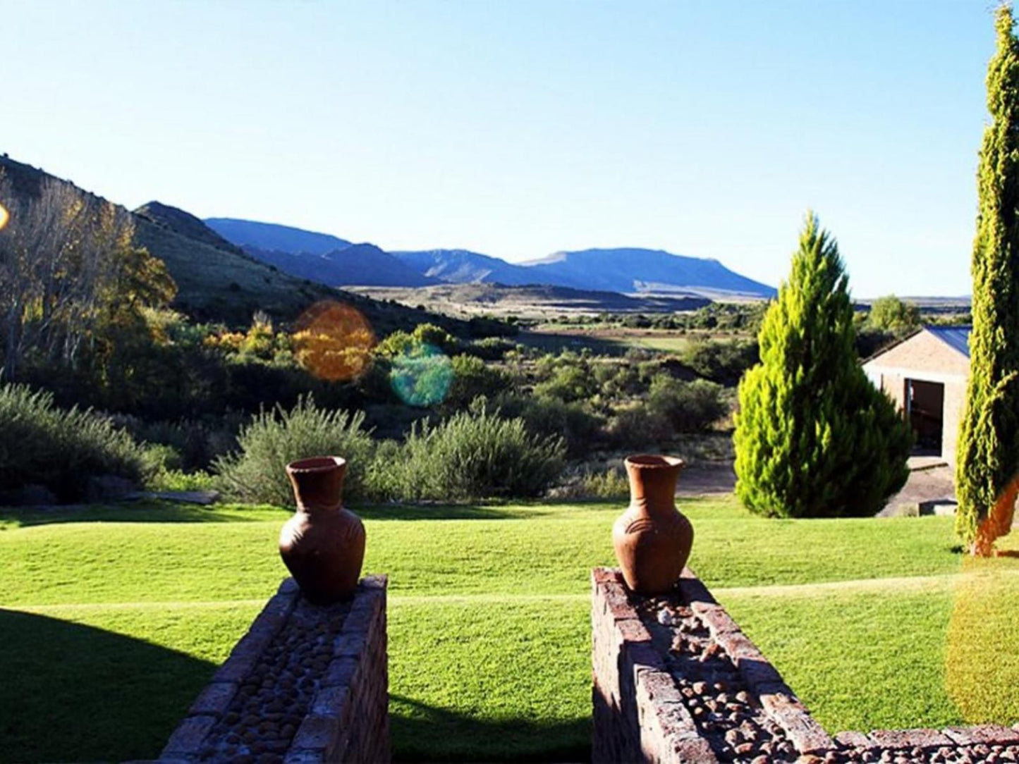 Desert Dew Guesthouse Three Sisters Western Cape South Africa Garden, Nature, Plant