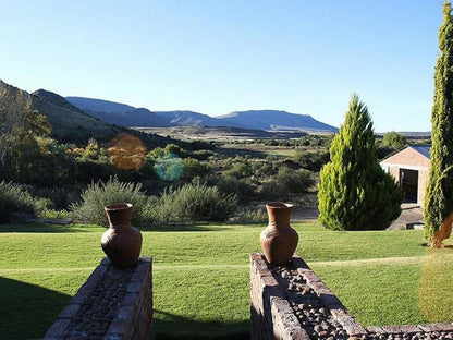 Desert Dew Guesthouse Three Sisters Western Cape South Africa Complementary Colors, Garden, Nature, Plant