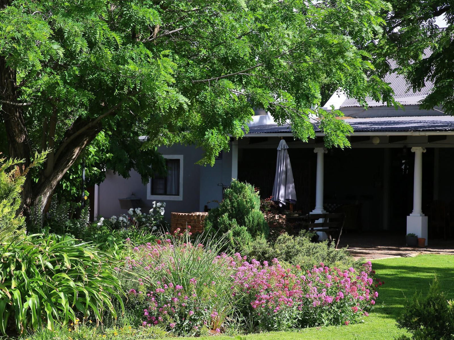 Desert Inn Guest House Middelburg Eastern Cape Eastern Cape South Africa House, Building, Architecture, Plant, Nature, Garden