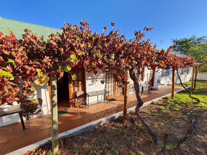 Desert Rose Guest House Springbok Northern Cape South Africa Complementary Colors, Plant, Nature