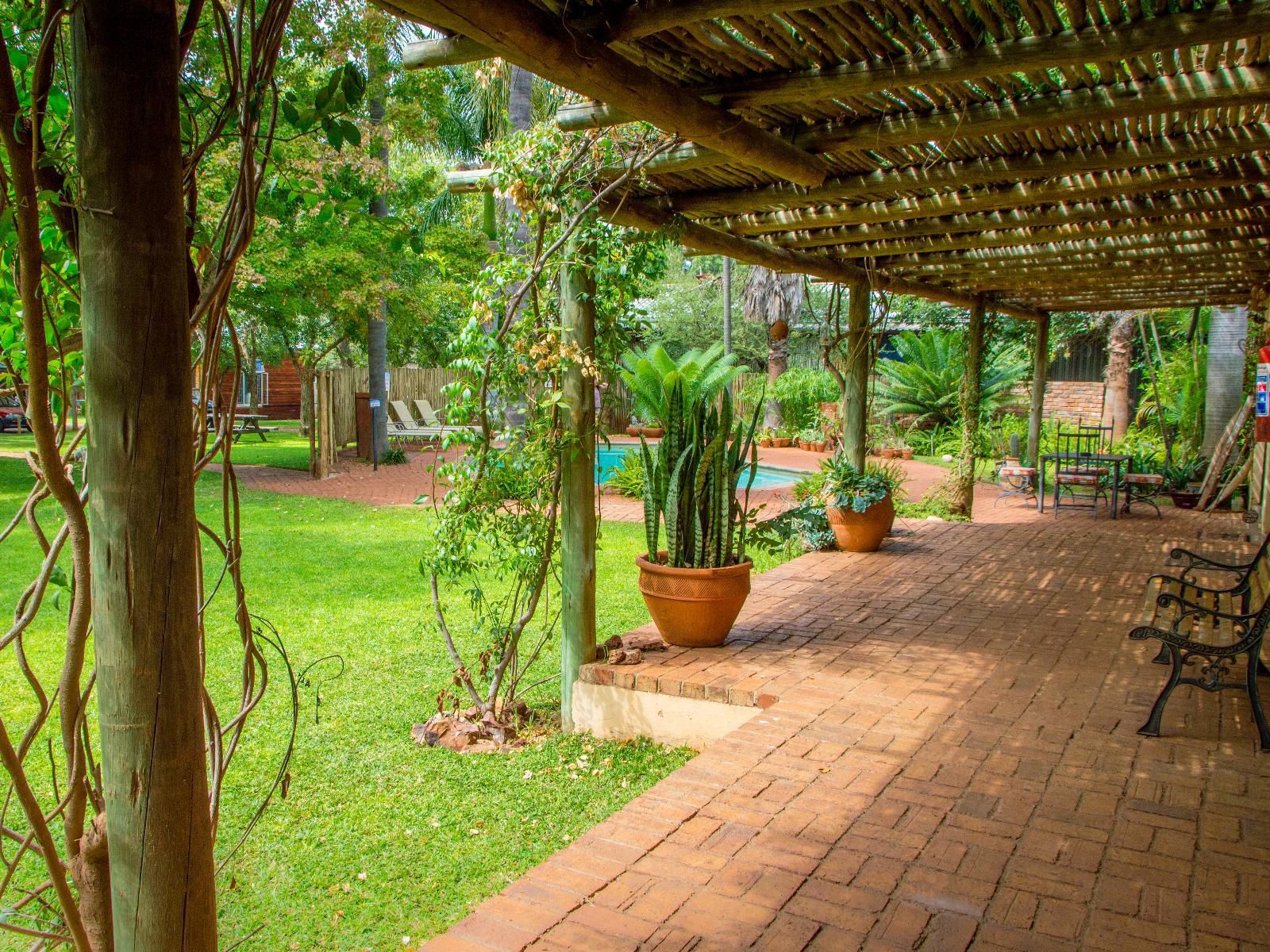 Destiny Inn Lodge, Colorful, Palm Tree, Plant, Nature, Wood, Garden