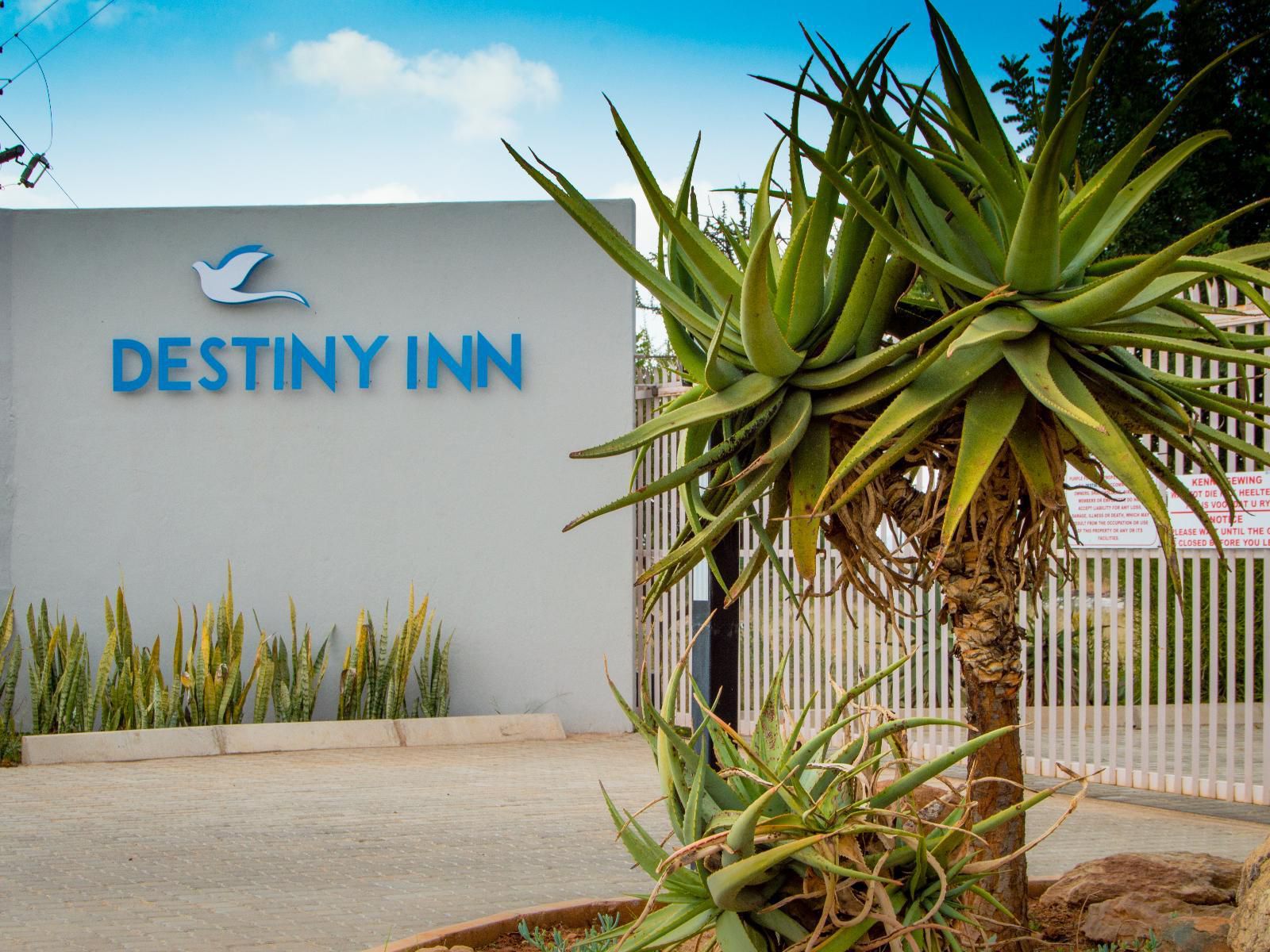 Destiny Inn Lodge, Palm Tree, Plant, Nature, Wood, Sign