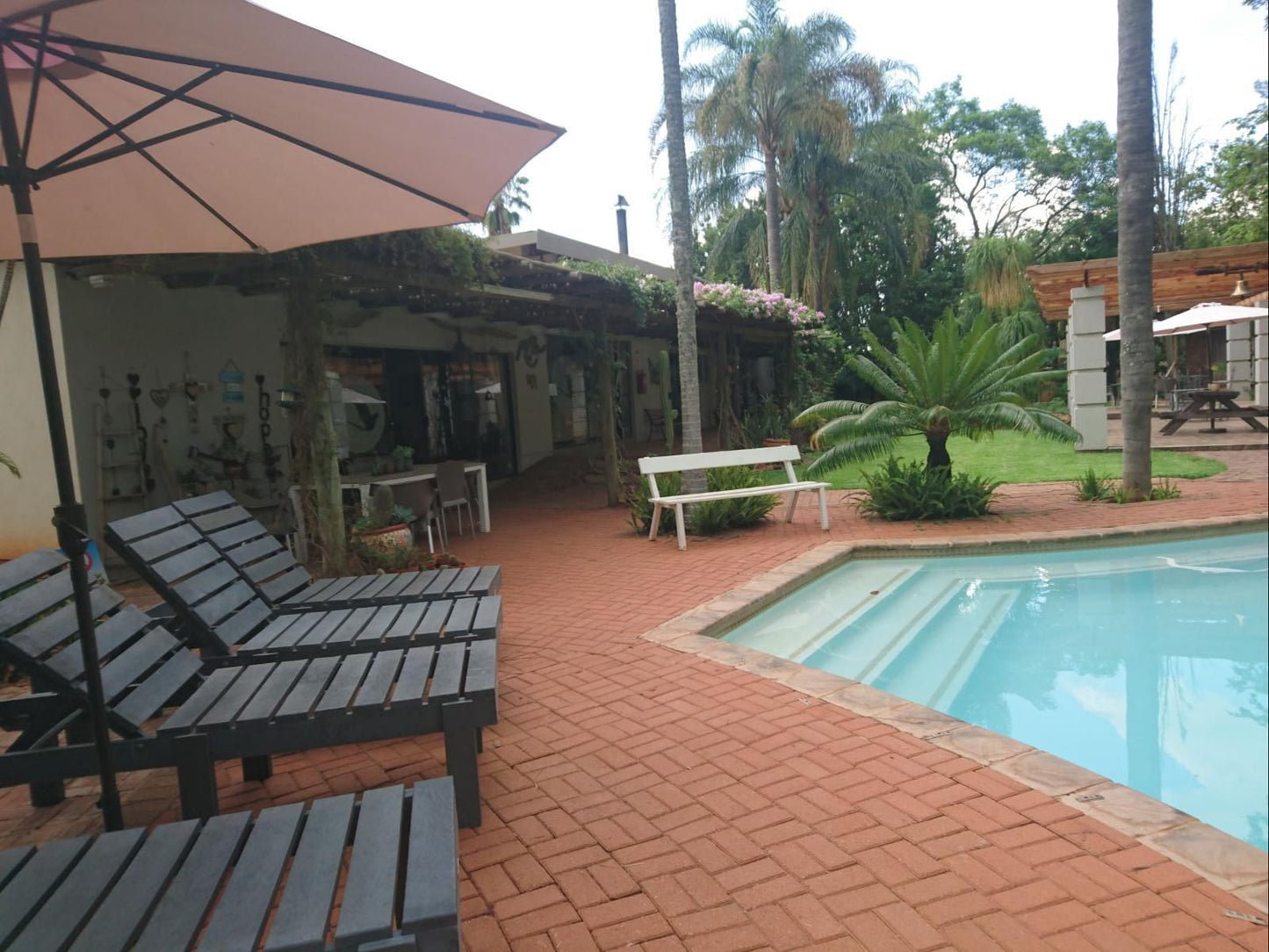 Destiny Inn Dalmada Polokwane Pietersburg Limpopo Province South Africa Palm Tree, Plant, Nature, Wood, Swimming Pool