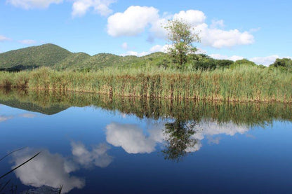 De Villa Resort Loskop Dam Mpumalanga South Africa Complementary Colors, Lake, Nature, Waters, Tree, Plant, Wood, Highland